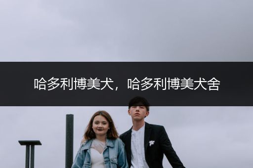 哈多利博美犬，哈多利博美犬舍