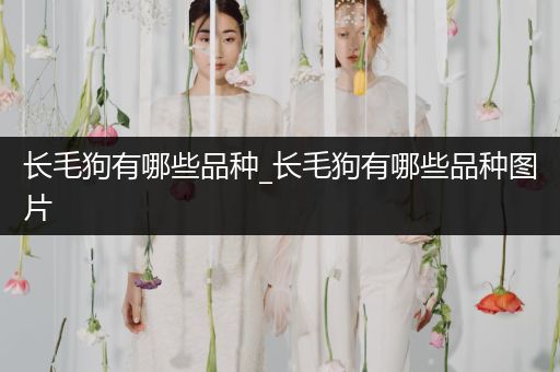 長(zhǎng)毛狗有哪些品種_長(zhǎng)毛狗有哪些品種圖片