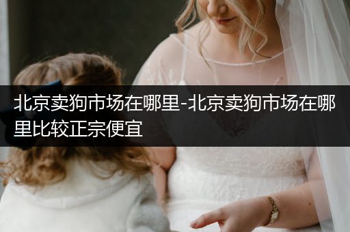北京賣狗市場在哪里-北京賣狗市場在哪里比較正宗便宜
