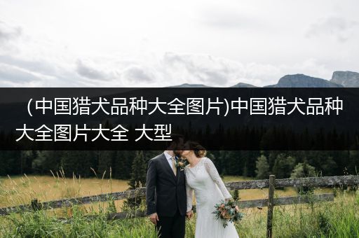 （中國獵犬品種大全圖片)中國獵犬品種大全圖片大全 大型