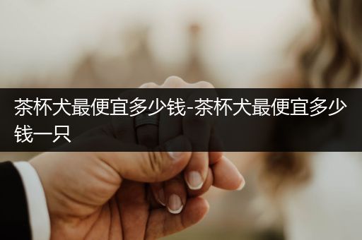 茶杯犬最便宜多少錢-茶杯犬最便宜多少錢一只