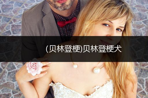 （貝林登梗)貝林登梗犬