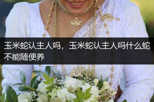 玉米蛇認(rèn)主人嗎，玉米蛇認(rèn)主人嗎什么蛇不能隨便養(yǎng)