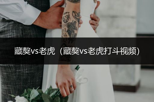 藏獒vs老虎（藏獒vs老虎打斗視頻）