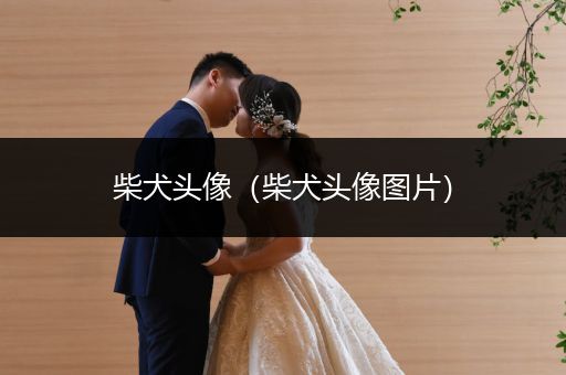 柴犬頭像（柴犬頭像圖片）