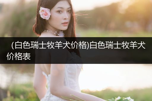 （白色瑞士牧羊犬價格)白色瑞士牧羊犬價格表