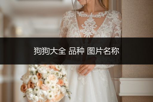 狗狗大全 品種 圖片名稱