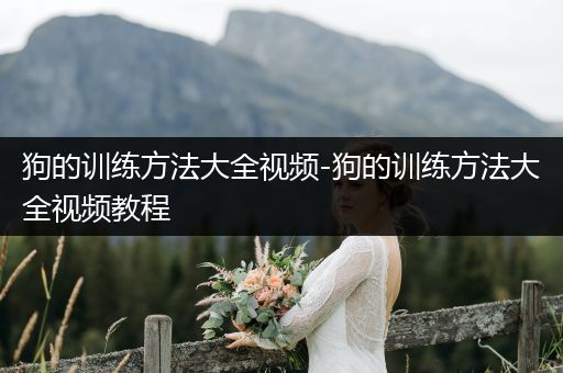 狗的訓(xùn)練方法大全視頻-狗的訓(xùn)練方法大全視頻教程