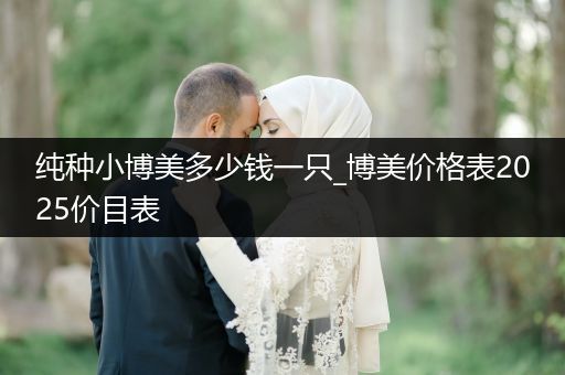 純種小博美多少錢一只_博美價(jià)格表2025價(jià)目表