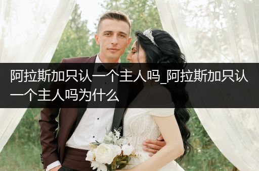 阿拉斯加只認(rèn)一個主人嗎_阿拉斯加只認(rèn)一個主人嗎為什么