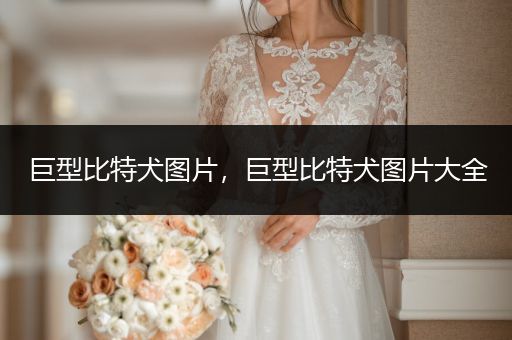 巨型比特犬圖片，巨型比特犬圖片大全