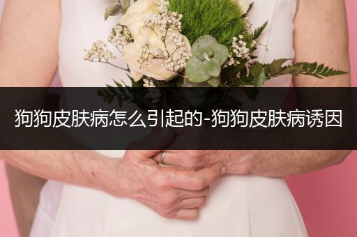 狗狗皮膚病怎么引起的-狗狗皮膚病誘因