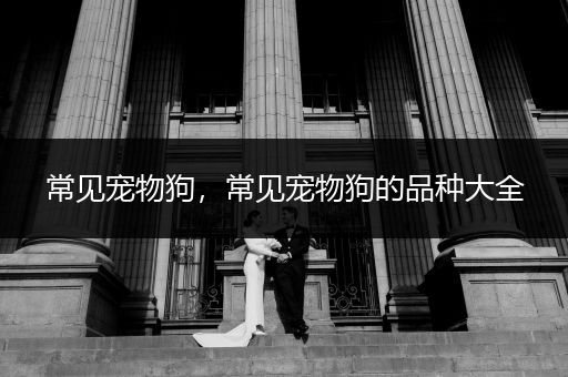 常見(jiàn)寵物狗，常見(jiàn)寵物狗的品種大全