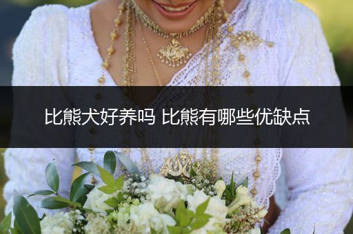 比熊犬好養(yǎng)嗎 比熊有哪些優(yōu)缺點(diǎn)