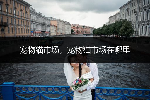 寵物貓市場，寵物貓市場在哪里