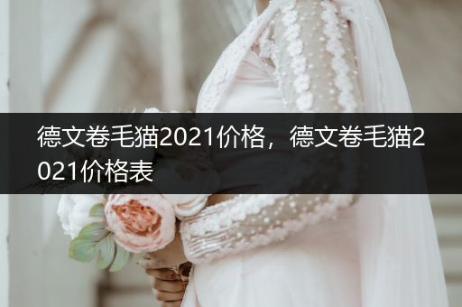 德文卷毛貓2021價格，德文卷毛貓2021價格表