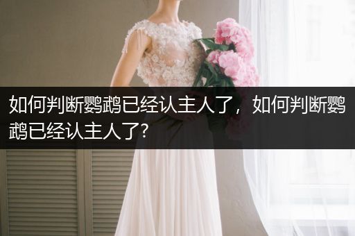 如何判斷鸚鵡已經(jīng)認主人了，如何判斷鸚鵡已經(jīng)認主人了?