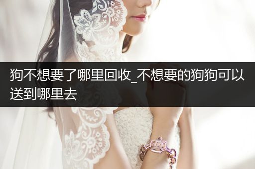 狗不想要了哪里回收_不想要的狗狗可以送到哪里去