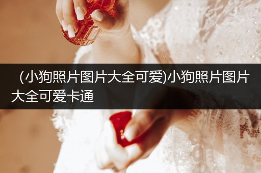 （小狗照片圖片大全可愛)小狗照片圖片大全可愛卡通