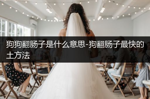 狗狗翻腸子是什么意思-狗翻腸子最快的土方法