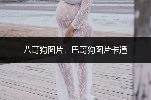 八哥狗圖片，巴哥狗圖片卡通