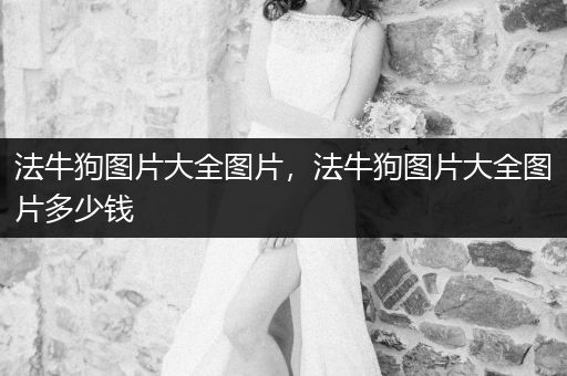 法牛狗圖片大全圖片，法牛狗圖片大全圖片多少錢