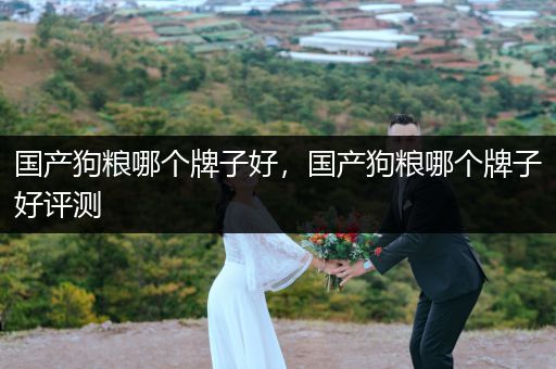 國(guó)產(chǎn)狗糧哪個(gè)牌子好，國(guó)產(chǎn)狗糧哪個(gè)牌子好評(píng)測(cè)