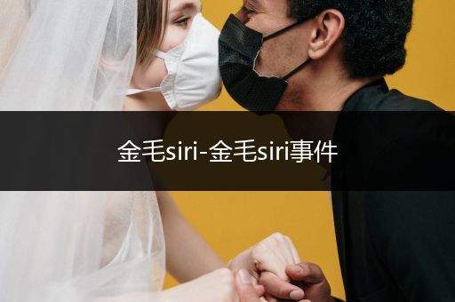 金毛siri-金毛siri事件