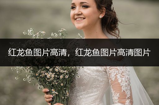紅龍魚圖片高清，紅龍魚圖片高清圖片