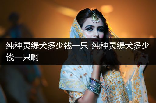 純種靈緹犬多少錢一只-純種靈緹犬多少錢一只啊