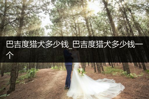 巴吉度獵犬多少錢_巴吉度獵犬多少錢一個