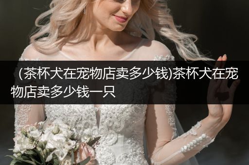 （茶杯犬在寵物店賣多少錢)茶杯犬在寵物店賣多少錢一只