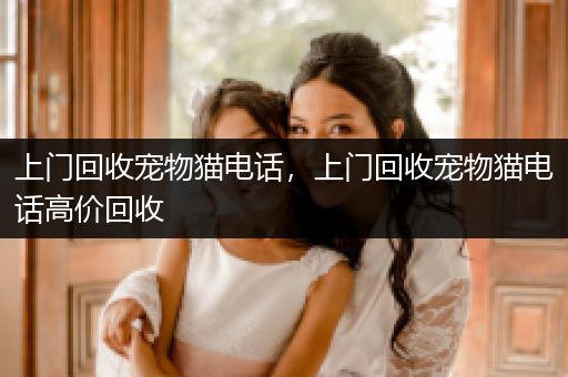 上門回收寵物貓電話，上門回收寵物貓電話高價回收