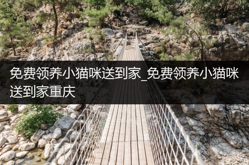 免費領(lǐng)養(yǎng)小貓咪送到家_免費領(lǐng)養(yǎng)小貓咪送到家重慶