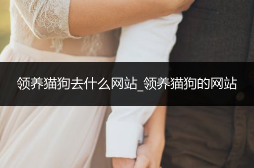 領(lǐng)養(yǎng)貓狗去什么網(wǎng)站_領(lǐng)養(yǎng)貓狗的網(wǎng)站