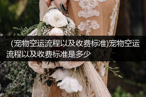 （寵物空運流程以及收費標準)寵物空運流程以及收費標準是多少