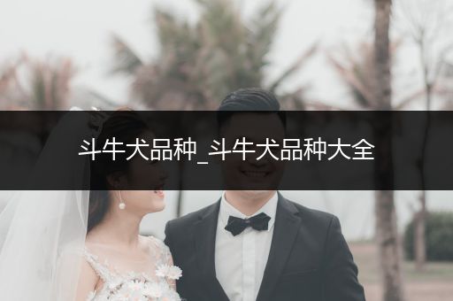 斗牛犬品種_斗牛犬品種大全