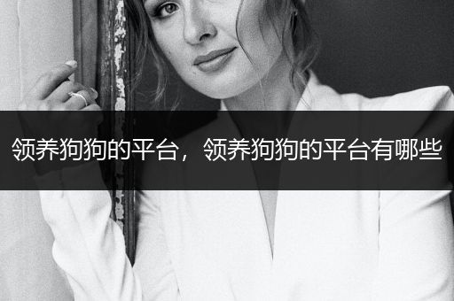 領(lǐng)養(yǎng)狗狗的平臺，領(lǐng)養(yǎng)狗狗的平臺有哪些