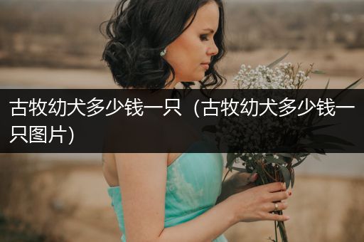 古牧幼犬多少錢(qián)一只（古牧幼犬多少錢(qián)一只圖片）