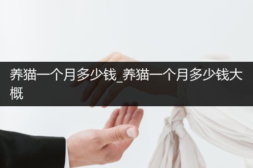 養(yǎng)貓一個月多少錢_養(yǎng)貓一個月多少錢大概