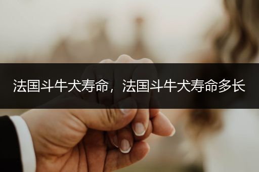 法國斗牛犬壽命，法國斗牛犬壽命多長