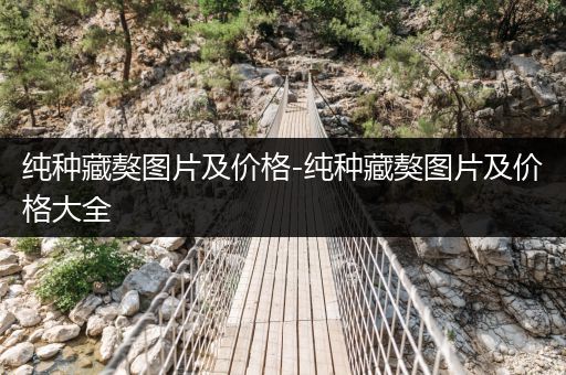 純種藏獒圖片及價(jià)格-純種藏獒圖片及價(jià)格大全