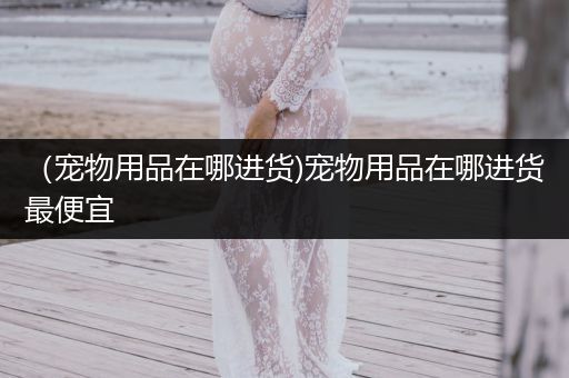 （寵物用品在哪進貨)寵物用品在哪進貨最便宜