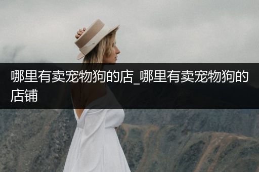 哪里有賣寵物狗的店_哪里有賣寵物狗的店鋪