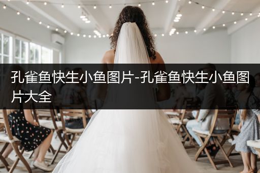 孔雀魚(yú)快生小魚(yú)圖片-孔雀魚(yú)快生小魚(yú)圖片大全