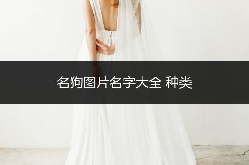 名狗圖片名字大全 種類