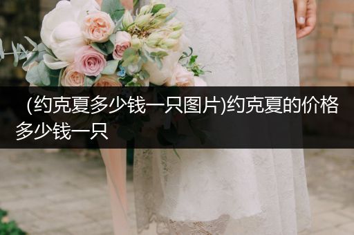 （約克夏多少錢(qián)一只圖片)約克夏的價(jià)格多少錢(qián)一只