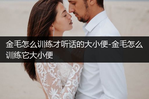 金毛怎么訓(xùn)練才聽話的大小便-金毛怎么訓(xùn)練它大小便