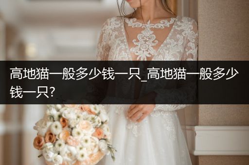 高地貓一般多少錢(qián)一只_高地貓一般多少錢(qián)一只?
