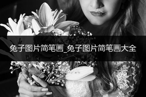 兔子圖片簡筆畫_兔子圖片簡筆畫大全